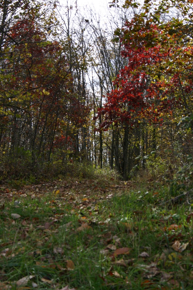 Property photo 29