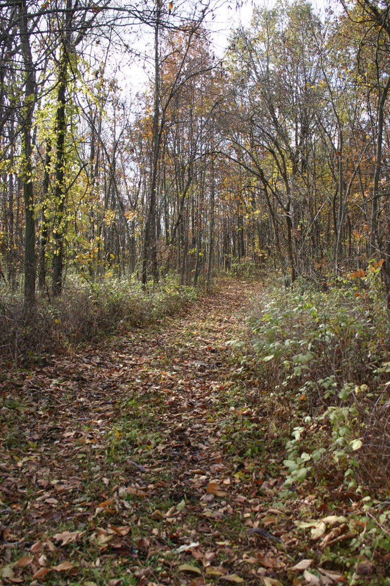 Property photo 20