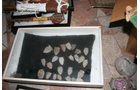Property photo 50 - Real Estate & Personal Property Auction