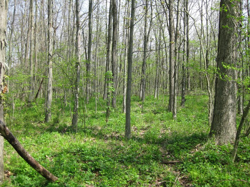 Property photo 16