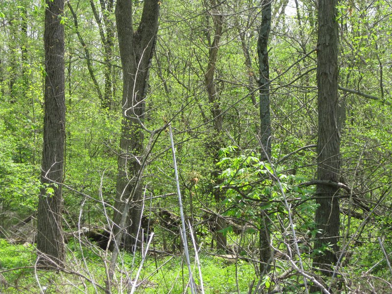 Property photo 17