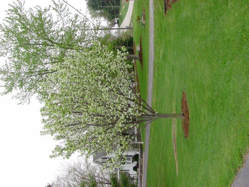 Property photo 53