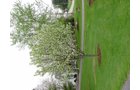 Property photo 53