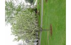 Property photo 60