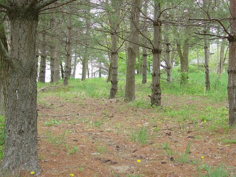 Property photo 28