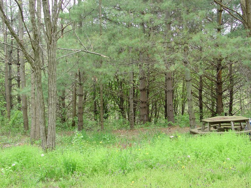 Property photo 63