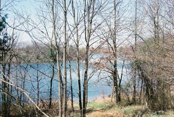 Property photo 6 - 1,025 Acres in 24 Tracts - Exellent Recreation Opportunity - Potential Building Sites - 11 Lakes & Ponds