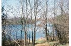 Property photo 6 - 1,025 Acres in 24 Tracts - Exellent Recreation Opportunity - Potential Building Sites - 11 Lakes & Ponds