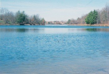 Property photo 30 - 1,025 Acres in 24 Tracts - Exellent Recreation Opportunity - Potential Building Sites - 11 Lakes & Ponds