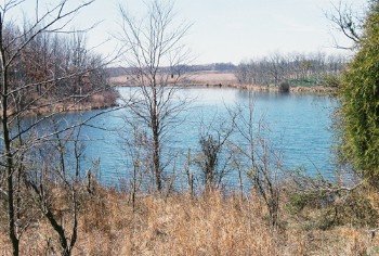 Property photo 5 - 1,025 Acres in 24 Tracts - Exellent Recreation Opportunity - Potential Building Sites - 11 Lakes & Ponds