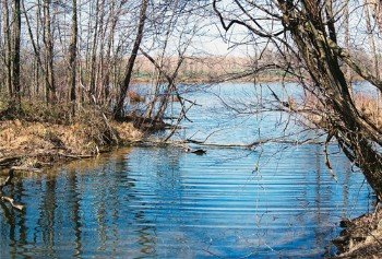 Property photo 42 - 1,025 Acres in 24 Tracts - Exellent Recreation Opportunity - Potential Building Sites - 11 Lakes & Ponds
