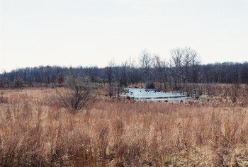 Property photo 40 - 1,025 Acres in 24 Tracts - Exellent Recreation Opportunity - Potential Building Sites - 11 Lakes & Ponds