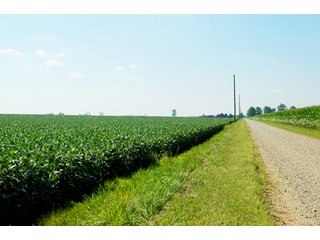 Property photo 26 - 506 Acres Offered in 10 Tracts - 486 Tillable Acres
