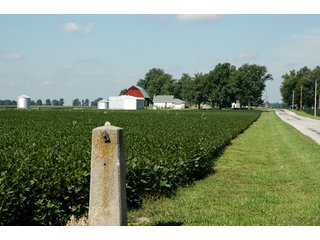 Property photo 17 - 506 Acres Offered in 10 Tracts - 486 Tillable Acres
