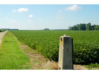 Property photo 8 - 506 Acres Offered in 10 Tracts - 486 Tillable Acres
