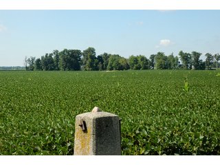 Property photo 4 - 506 Acres Offered in 10 Tracts - 486 Tillable Acres
