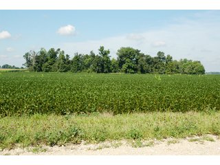 Property photo 25 - 506 Acres Offered in 10 Tracts - 486 Tillable Acres
