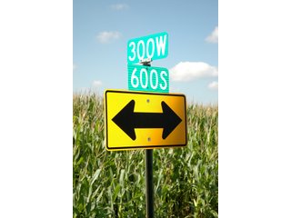 Property photo 19 - 506 Acres Offered in 10 Tracts - 486 Tillable Acres
