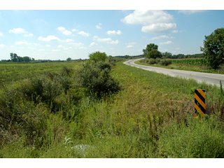 Property photo 10 - 506 Acres Offered in 10 Tracts - 486 Tillable Acres
