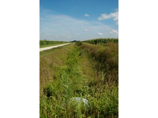Property photo 2 - 506 Acres Offered in 10 Tracts - 486 Tillable Acres
