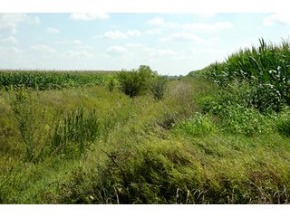 Property photo 23 - 506 Acres Offered in 10 Tracts - 486 Tillable Acres
