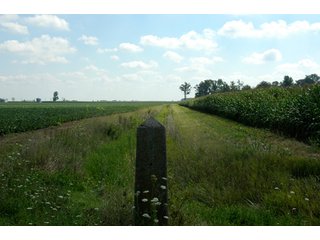 Property photo 14 - 506 Acres Offered in 10 Tracts - 486 Tillable Acres
