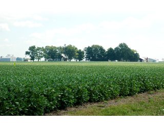 Property photo 21 - 506 Acres Offered in 10 Tracts - 486 Tillable Acres
