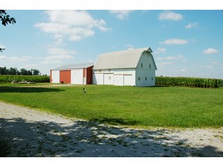 Property photo 6 - 506 Acres Offered in 10 Tracts - 486 Tillable Acres
