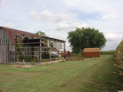 Property photo 8 - 160 Acres in 5 Tracts - Productive Tillable Land & Hunter's Paradise