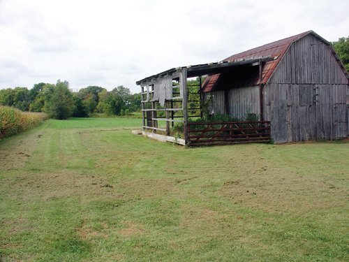 Property photo 3 - 160 Acres in 5 Tracts - Productive Tillable Land & Hunter's Paradise