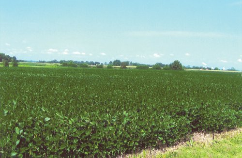 Property photo 2 - 19.969 Acres Offered in 1 Tract