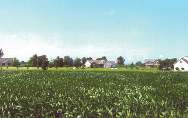 19.969 Acres Offered in 1 Tract