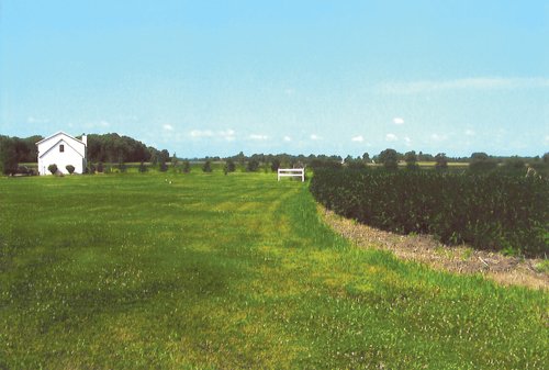 Property photo 1 - 19.969 Acres Offered in 1 Tract