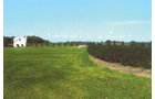 Property photo 1 - 19.969 Acres Offered in 1 Tract