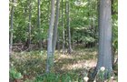 Property photo 10 - 40 Acres Offered in 3 Tracts