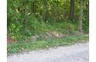 Property photo 5 - 40 Acres Offered in 3 Tracts