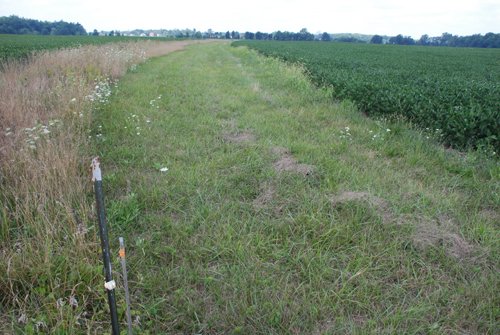 Property photo 5 - 68 Acres Offered in 2 Tracts - Productive Tillable Land & Woods