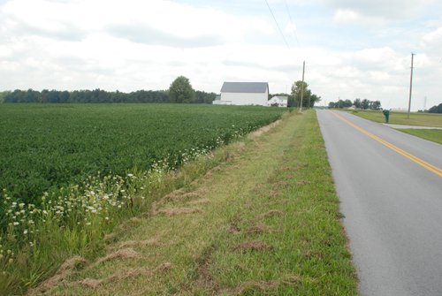 Property photo 17 - 68 Acres Offered in 2 Tracts - Productive Tillable Land & Woods