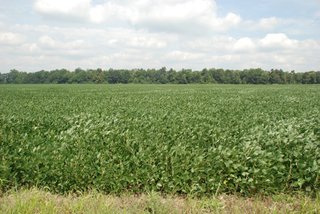 Rumbaugh, Allen County