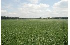 Property photo 1 - 68 Acres Offered in 2 Tracts - Productive Tillable Land & Woods