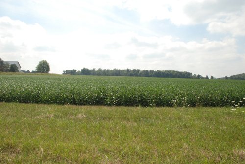 Property photo 2 - 68 Acres Offered in 2 Tracts - Productive Tillable Land & Woods
