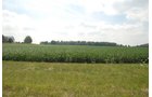 Property photo 2 - 68 Acres Offered in 2 Tracts - Productive Tillable Land & Woods