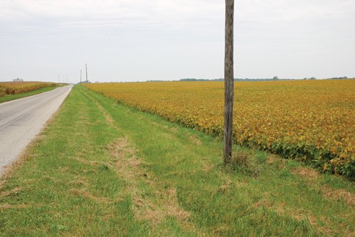 Property photo 4 - 127.5 Acres Offered in 2 Tracts - Productive Tillable Land and Wooded Hunting Land