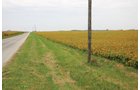Property photo 4 - 127.5 Acres Offered in 2 Tracts - Productive Tillable Land and Wooded Hunting Land