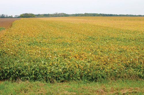 Property photo 1 - 127.5 Acres Offered in 2 Tracts - Productive Tillable Land and Wooded Hunting Land
