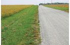 Property photo 5 - 127.5 Acres Offered in 2 Tracts - Productive Tillable Land and Wooded Hunting Land