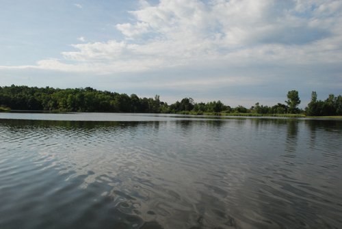 Property photo 23 - 24 Acres Offered in 5 Tracts
