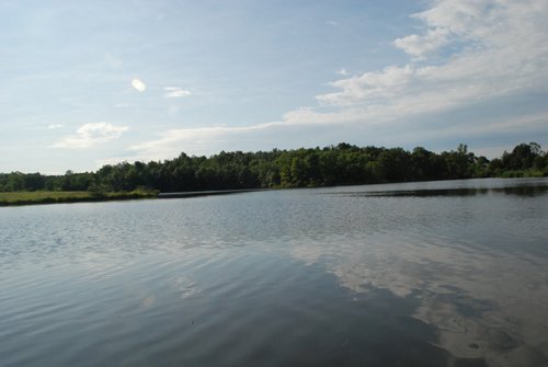 Property photo 49 - 24 Acres Offered in 5 Tracts
