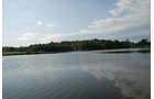 Property photo 49 - 24 Acres Offered in 5 Tracts
