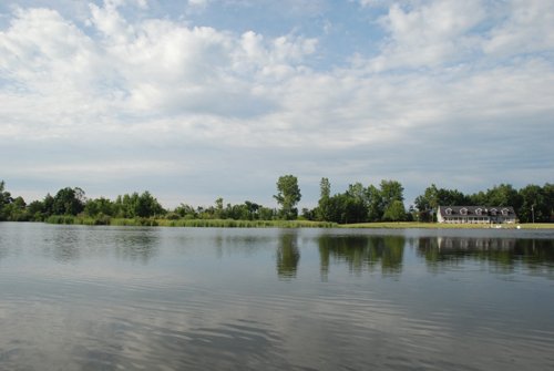 Property photo 29 - 24 Acres Offered in 5 Tracts
